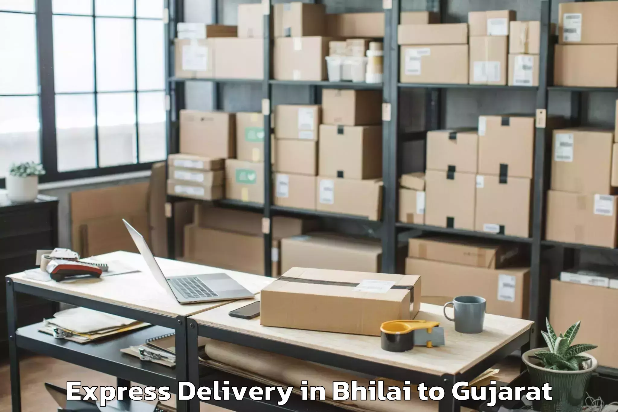 Professional Bhilai to Gujarat National Law Universit Express Delivery